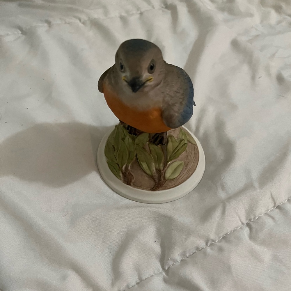 Brahm Baby Blue Bird